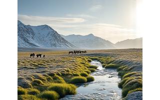 Springtime Arctic landscape with melting snow, emergent greenery, and caribou.