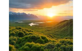 Summer Arctic landscape with lush green tundra and a distant mountain range under the midnight sun.